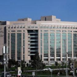 SON DAKİKA: 3,6 milyar TL'lik yasa dışı bahis operasyonu! 24 kişi hakkında gözaltı kararı