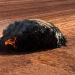 Uzaydan dünyaya düştü! Gizemli Nesne, Avusturalya'yı ayağa kaldırdı...