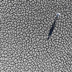 Afet bilinci ya da kaynak ahlakı