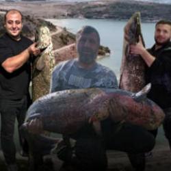 Boyları kadar yayın balığı yakalıyorlar! Bir değil, iki değil...