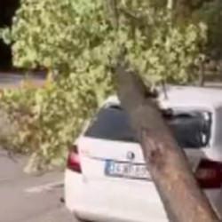 Bursa’da lodos: Otomobilin üzerine ağaç devrildi, o anlar kameraya yansıdı