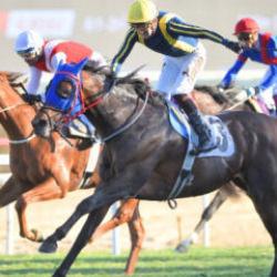 Cumhuriyet ve Cumhurbaşkanlığı koşuları nefesleri kesti! 