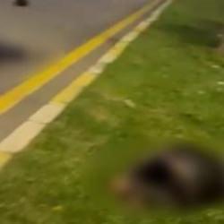 Denizli'de 2 arkadaşın feci ölümü!