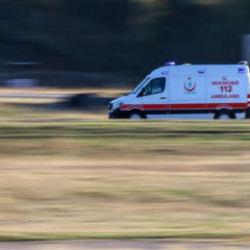 Denizli'de yaşlı adamın feci ölümü: Ağacı buduyordu!