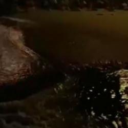 Depremden yarım saat önce dikkat çeken görüntü: Arnavutköy’de deniz çekildi!