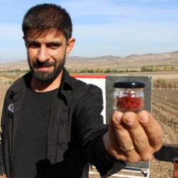  Dünyanın en pahalı baharatı! "Kırmızı altının" 1 gramı 500 TL'den satılıyor 