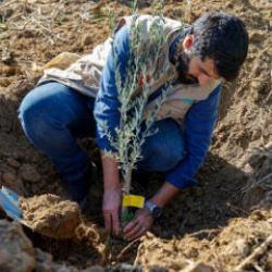 İHH&rsquo;dan 3 ildeki &ccedil;ift&ccedil;ilere 25 bin fidan desteği