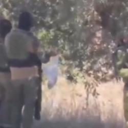 İsrail askerleri Batı Şeria'daki zeytin ağa&ccedil;larına g&ouml;z dikti: Hırsızlık kameralara yansıdı