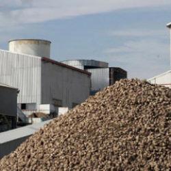 Kayseri Şeker bu sezon 475 bin ton şeker üretimi hedefliyor