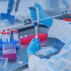 Memişoğlu'ndan y&ouml;netmelik a&ccedil;ıklaması: D&uuml;nyaya &ouml;rnek olacak yeni bir d&ouml;nemi başlatıyoruz