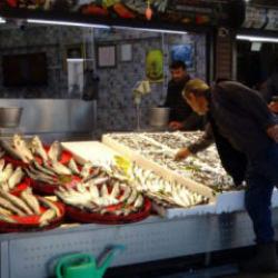 Palamut sezonu başlamadan bitti!