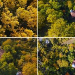 T&uuml;rkiye'nin d&ouml;rt bir yanında sonbahar rotası! İl il belli oldu