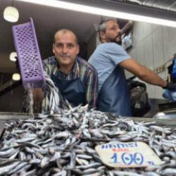 Yaz sıcakları palamudu vurdu, yerini hamsi aldı