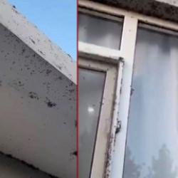 Yer: Siirt! 6 köyü istila ettiler... Vatandaş camını bile açamıyor