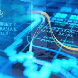 TCMB ekonomistlerinden TL mevduat açıklaması: Altına rağmen TL büyük ölçüde korunuyor!