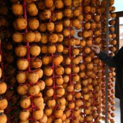 Tasarladığı aletle kurutup kilosunu 500 TL'den satıyor