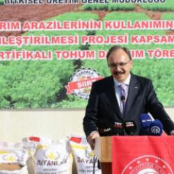 Çiftçiye destek: 203 ton tohum dağıtıldı!