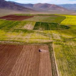 Bedavaya yakın fiyatlar! En ucuz arsaların olduğu iller belli oldu...