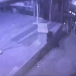 Gaziosmanpaşa'da 1 kişinin öldüğü, 1 kişinin yaralandığı olayda yeni gelişme