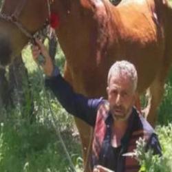 Cezaevinden izinli çıkan babasını öldüren sanığın cezası belli oldu