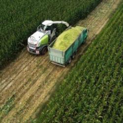 &Ccedil;ift&ccedil;ilere 1,5 milyar liralık tarımsal destekleme &ouml;demesi bug&uuml;n yapılacak