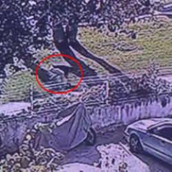 Cinayeti işleyip elindeki kanı çimlere silmiş