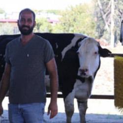 e-Devlet'ten başvuru yaptı, süt çiftliği sahibi oldu!