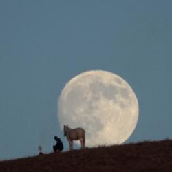 Film sahnesi değil ger&ccedil;ek! O anlar sosyal medyada g&uuml;ndem oldu