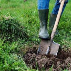 Havuz kazarken hazine buldu! Dudak uçuklatan rakamın sahibi oldu!