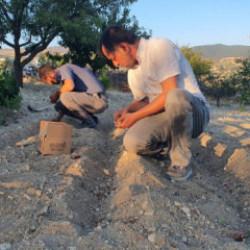 İlçede bir ilk! Tarlasının ekim denemesi yaptı 150 gram ürün elde etti
