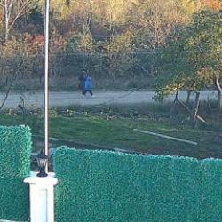 Kastamonu'da anne ve oğuldan 5 g&uuml;nd&uuml;r haber alınamıyor! Gizemli telefon g&ouml;r&uuml;şmesi &ccedil;ıktı