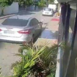 K&ouml;peği silahla vuran 83 yaşındaki emekli polis i&ccedil;in istenen ceza belli oldu