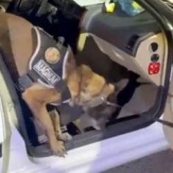 'Magnum' Erzurum&rsquo;da koltuğun i&ccedil;ine gizlemiş 8,5 kilo metamfetamin buldu