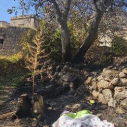 Ot temizliği yapmak istemişti canından oldu