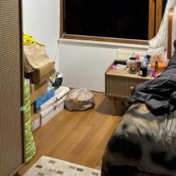 Şarkıcı Güllü'nün parkelerinin kriminal raporu çıktı