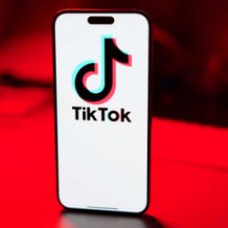 TikTok'tan Türkiye raporu! Ürküten veriler