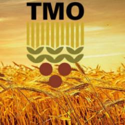 TMO'dan 3,5 milyon ton buğday ve 1,5 milyon ton mısır alımı!