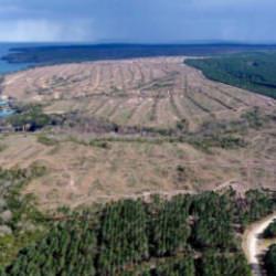 Türkiye'nin büyük sorununu çözecek 2 tesis! Kanada ile imzalar atıldı