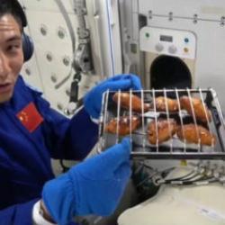 Uzayda ızgara! &Ccedil;inli taykonotlar et ve tavuk pişirdi! 