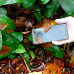 Kastamonu'da oğluyla ölü bulunan kadının kayıp cep telefonu bulundu!