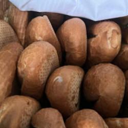 Ekmeğin fiyatını duyan kuyruğa koştu!