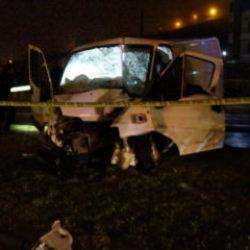 Aydınlatma direğine &ccedil;arpan minib&uuml;s s&uuml;r&uuml;c&uuml;s&uuml; hayatını kaybetti