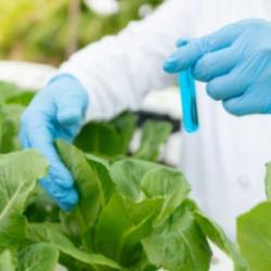 Bakanlıktan yeni karar: Pestisit limitleri güncellendi!