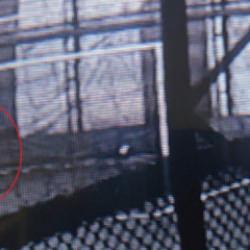 Bursa&rsquo;da halı sahada kalp krizi ge&ccedil;iren 35 yaşındaki gen&ccedil; hayatını kaybetti