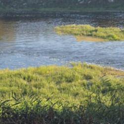  Canbolu Deresi&rsquo;nde acı oyun: 10 yaşındaki Hızır Ali hayatını kaybetti