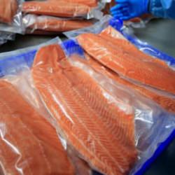 Türk somonu ihracatı 152 milyon doları aştı!