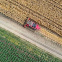 FAO'dan Türkiye'deki projelere 8,1 milyon dolarlık kaynak