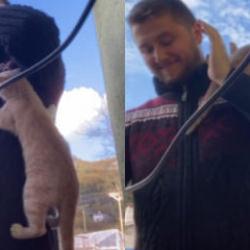 Gülümseten anlar: Yavru kedi, ezan okuyan imamın üstüne tırmandı