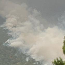 Hatay'da iki ayrı noktada &ccedil;ıkan yangın kontrol altına alındı