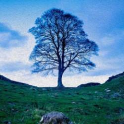 Olmak ve Yapmak &Uuml;zerine